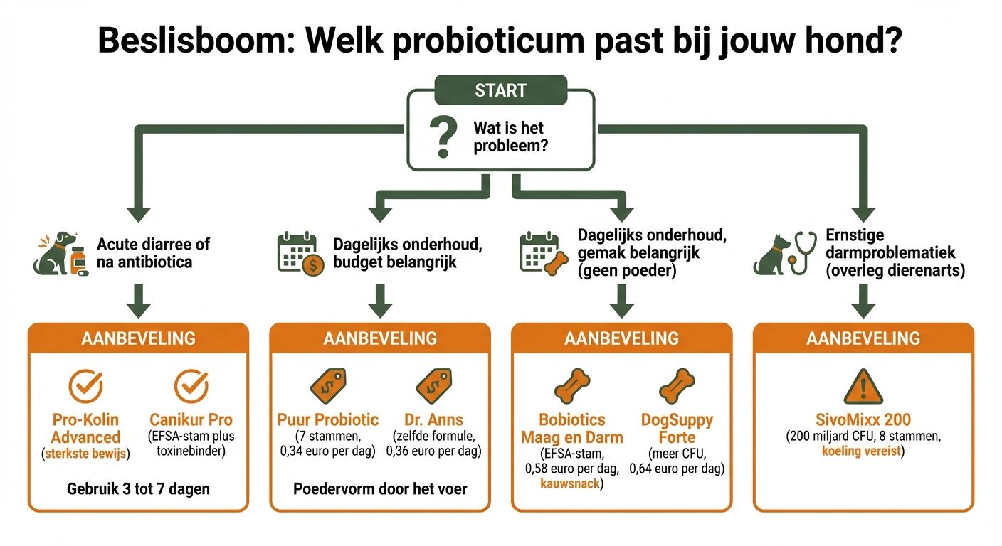 Beslisboom: Welk probioticum past bij jouw hond?